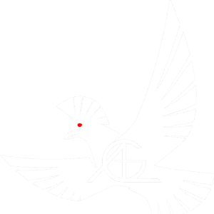 Arbeitsgruppe Lobotomie